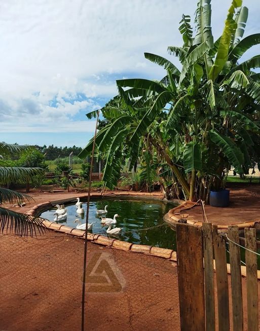 9cca5c3256f95eda303460c653db0eae